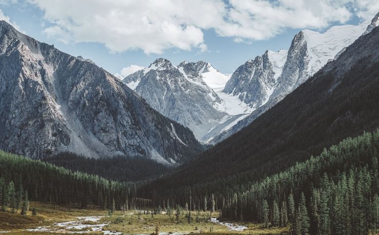 哪家移民公司比较好